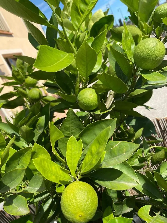 **  Avocado Hotel Restaurant Saint-Jeannet  Francia